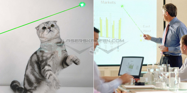 laserpointer katze